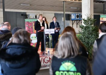 Le Marché d&rsquo;Intérêt National d&rsquo;Avignon, « outil incontournable de notre souveraineté alimentaire »