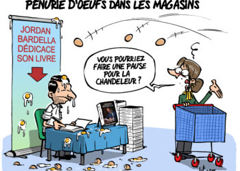 La pénurie d&rsquo;œufs vue par Wingz pour l&rsquo;Echo du Mardi