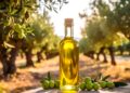 Voici les meilleures huiles d’olive de la Région Sud