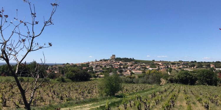 Les vignerons indépendants de Vaucluse s’invitent dans la campagne des municipales