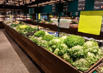 Le Groupe Blachère prend les commandes des rayons fruits et légumes de Carrefour