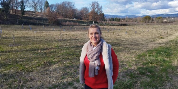 Mon ami le chanvre : la culture du chanvre sous toutes ses formes