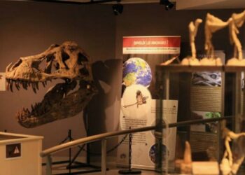 Voyage à l&rsquo;ère des dinosaures à Sorgues