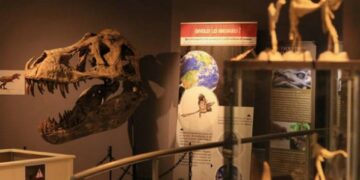 Voyage à l&rsquo;ère des dinosaures à Sorgues