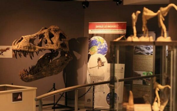 Voyage à l&rsquo;ère des dinosaures à Sorgues