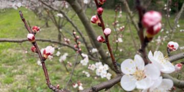 Agriculture : le cri d’alarme de Lucien Stanzione pour le Vaucluse