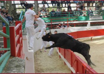 Aramon : le Club taurin lance sa saison 2026.