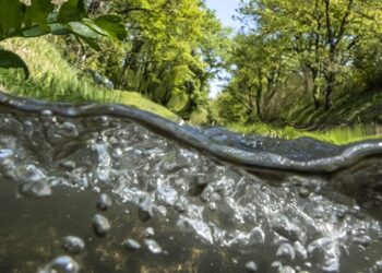 Saint-Didier : une exposition au cours de l’eau du Vaucluse