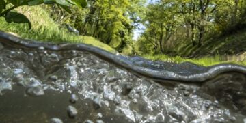 Saint-Didier : une exposition au cours de l&rsquo;eau du Vaucluse
