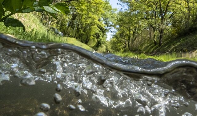 Saint-Didier : une exposition au cours de l&rsquo;eau du Vaucluse