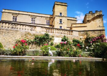 Le Château de Lourmarin dévoile une exposition qui célèbre le centenaire de la Fondation Laurent-Vibert
