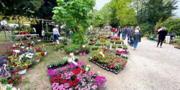 L&rsquo;Isle-sur-la-Sorgue : 60 exposants seront présents au Marché aux plantes