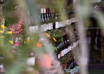 Les Printemps de Châteauneuf-du-Pape reviennent pour une 15e édition tout le week-end