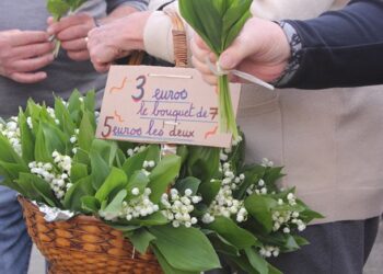 Les Français dépensent près de 20M€ pour offrir du muguet le 1er mai
