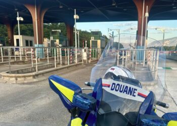 Saisies record de tabac et de drogue à l&rsquo;actif de la Brigade des Douaniers d&rsquo;Avignon