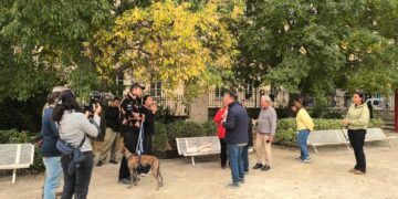 (Vidéo) Quand Avignon s’affiche au national et en prime time