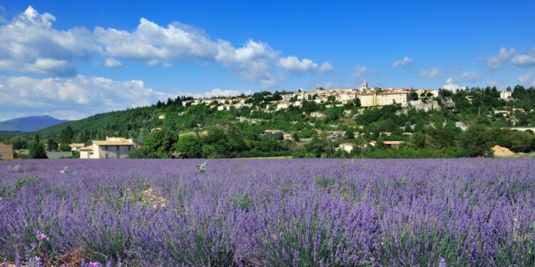 La commune de Sault passée au crible de la Chambre régionale des comptes