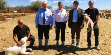 Cerise et pastoralisme, Lucien Stanzione au cœur des urgences agricoles du Vaucluse