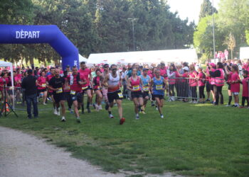 Cavaillon : le Rotary mobilise contre le cancer