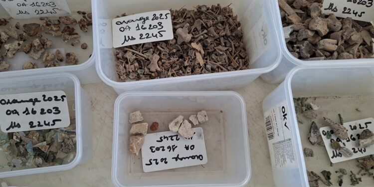 Redécouvrir les richesses archéologiques du patrimoine vauclusien à Memento