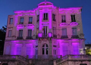 Déclaration des candidatures aux élections de la CCI de Vaucluse