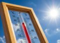 Le département de Vaucluse placé en alerte canicule