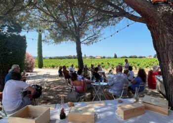 Les vignerons indépendants nous invitent à pique-niquer dans leur domaine pendant la Pentecôte