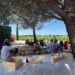 Les vignerons indépendants nous invitent à pique-niquer dans leur domaine pendant la Pentecôte