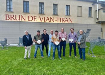 Brun de Vian-Tiran participe à la valorisation des laines de France