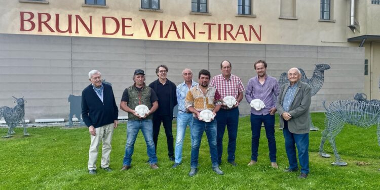 Brun de Vian-Tiran participe à la valorisation des laines de France