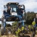 À Orange, les Vignobles Alain Jaume fêtent leurs 200 ans