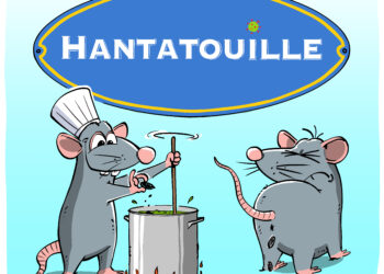 L&rsquo;hantavirus transmis par les rats vu par Wingz pour L&rsquo;Echo du Mardi
