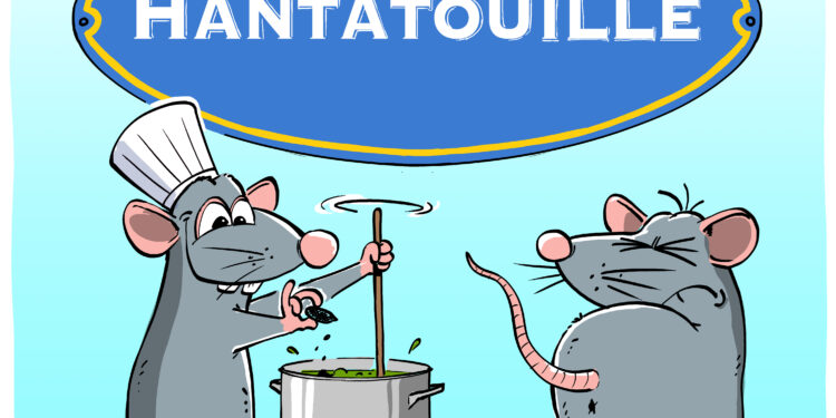 L&rsquo;hantavirus transmis par les rats vu par Wingz pour L&rsquo;Echo du Mardi