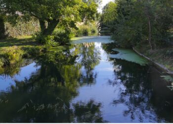 Luberon & Sorgues Entreprendre : une rencontre professionnelle autour de l&rsquo;eau à Châteauneuf-de-Gadagne