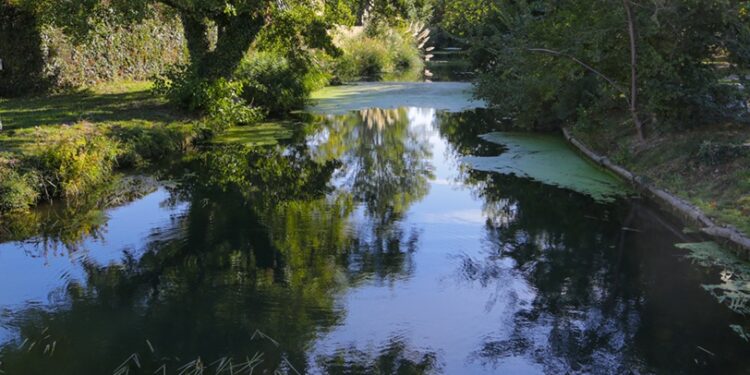 Luberon & Sorgues Entreprendre : une rencontre professionnelle autour de l’eau à Châteauneuf-de-Gadagne