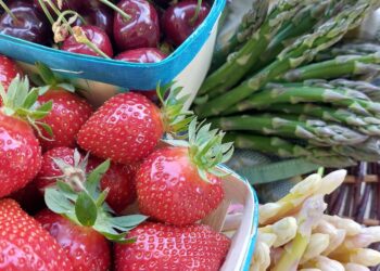 La Chambre d&rsquo;agriculture de Vaucluse célèbre ses Marchés du soir à Cavaillon
