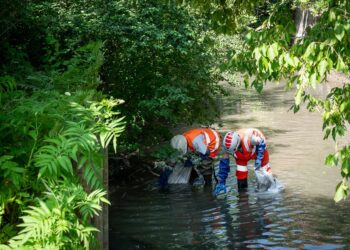 Le Grand Avignon procède au nettoyage annuel du canal de Vaucluse
