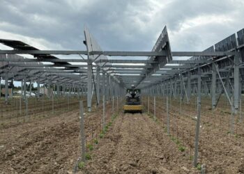 Travaillan : l’agrivoltaïque à la rescousse des vins de demain