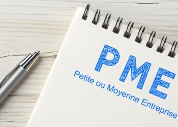 Journée des micros, petites et moyennes entreprises 2026 : quelles évolutions pour l’environnement économique des TPE & PME ?