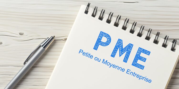 Journée des micros, petites et moyennes entreprises 2026 : quelles évolutions pour l’environnement économique des TPE & PME ?
