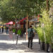 Cavaillon : l’exception culturelle