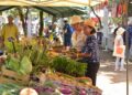 (Vidéo) Terroirs en Fête, la plus belle célébration agricole de Vaucluse au Parc de l’Arbousière
