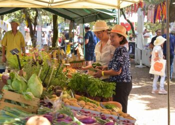 (Vidéo) Terroirs en Fête, la plus belle célébration agricole de Vaucluse au Parc de l’Arbousière