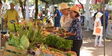(Vidéo) Terroirs en Fête, la plus belle célébration agricole de Vaucluse au Parc de l’Arbousière
