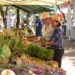 (Vidéo) Terroirs en Fête, la plus belle célébration agricole de Vaucluse au Parc de l’Arbousière
