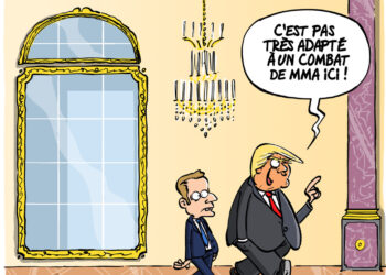 Trump à Versailles vu par Wingz pour L&rsquo;Echo du Mardi