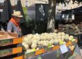 Melon en Fête revient pour une nouvelle édition à Cavaillon