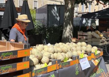 Melon en Fête revient pour une nouvelle édition à Cavaillon
