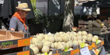 Melon en Fête revient pour une nouvelle édition à Cavaillon