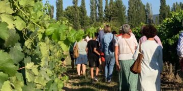 Le Luberon célèbre l&rsquo;été avec les Sunsets Vignerons